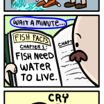 Dead FIsh